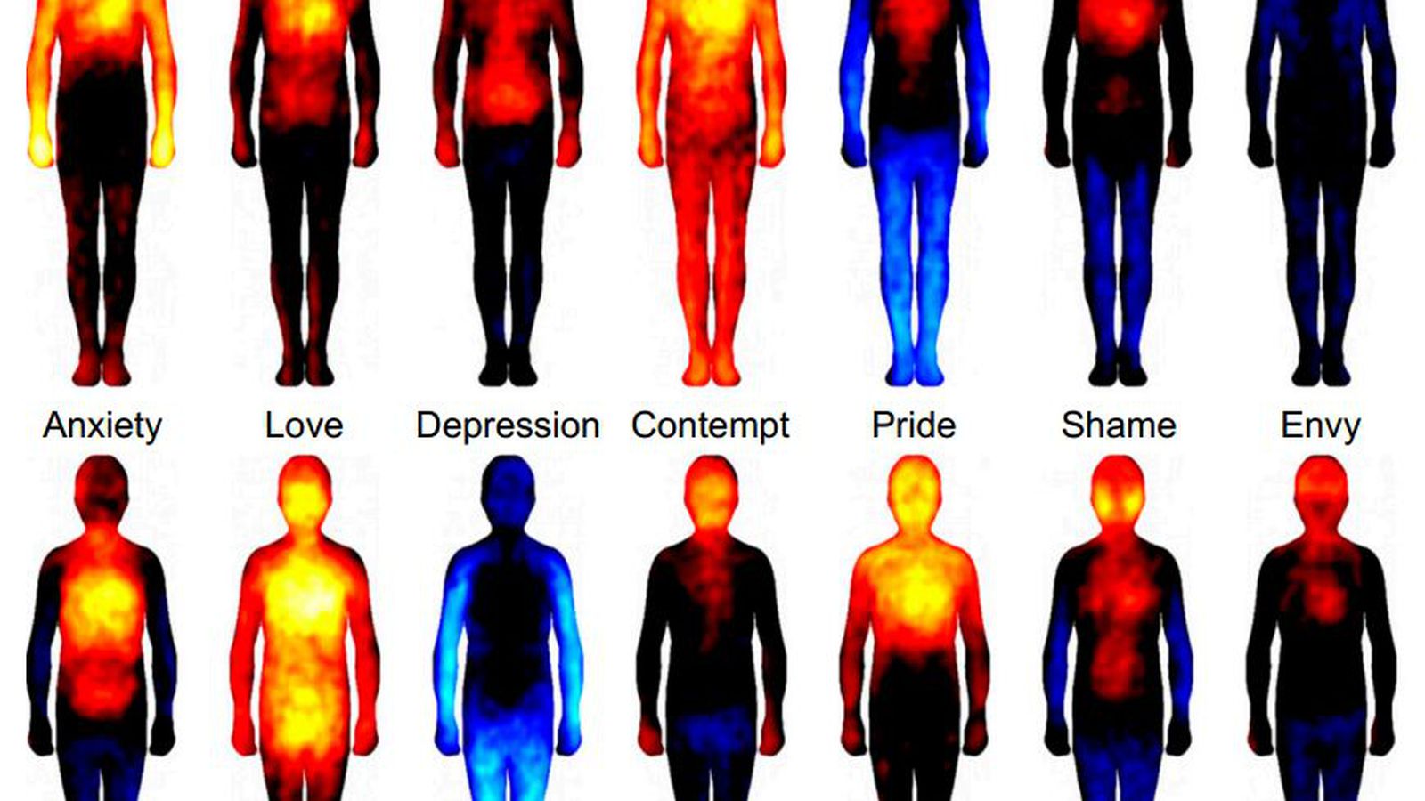 Bodymaps.0