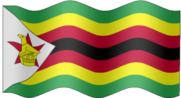 Zim