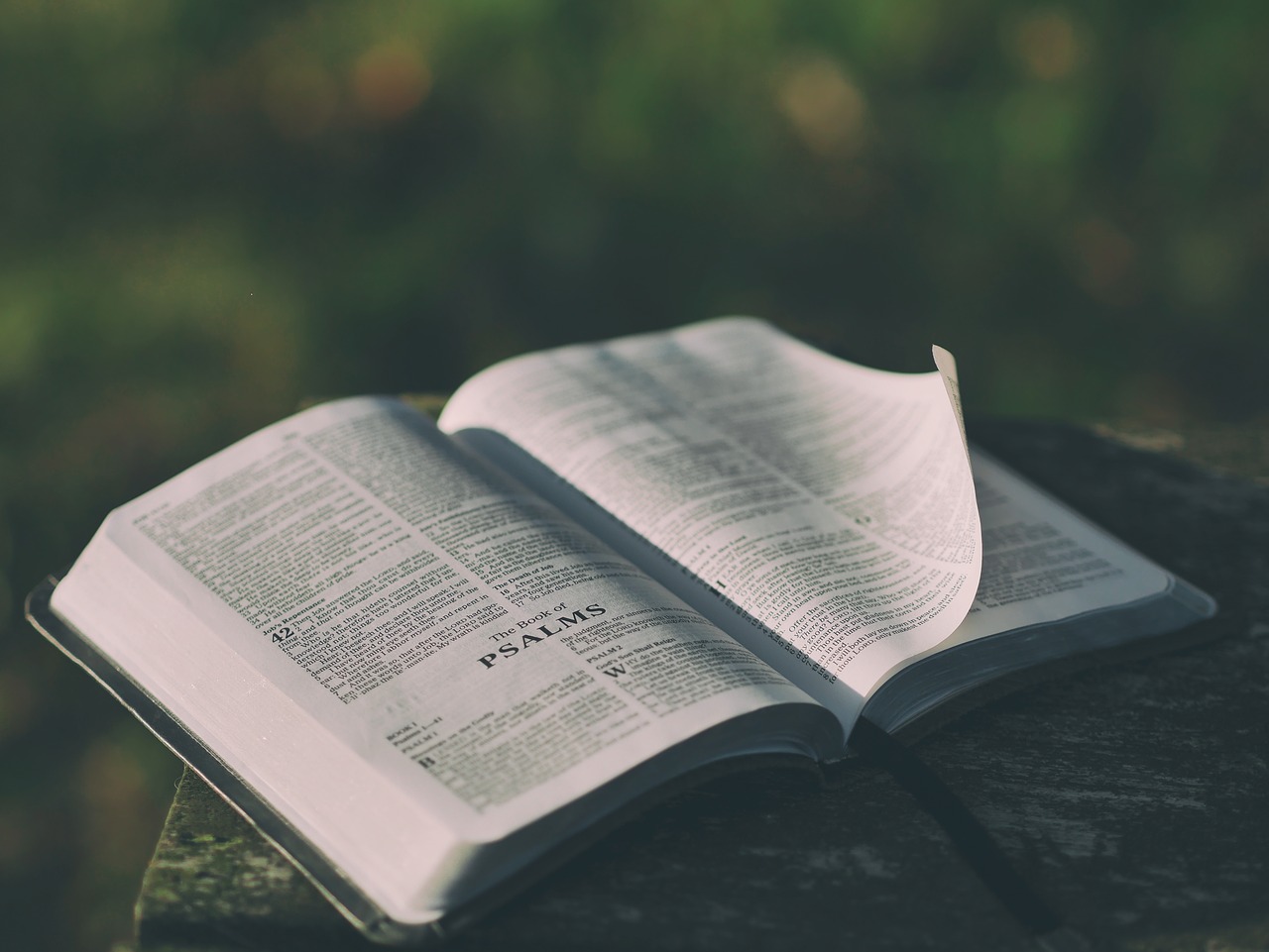 Bible 1846174 1280