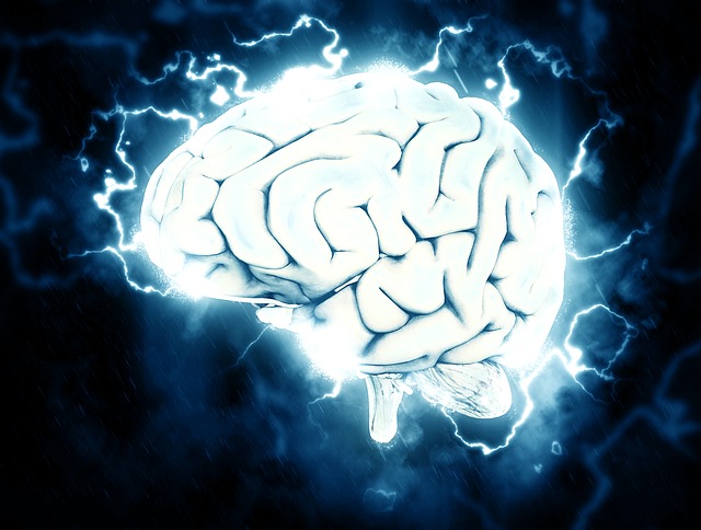 Brain 1845962 640