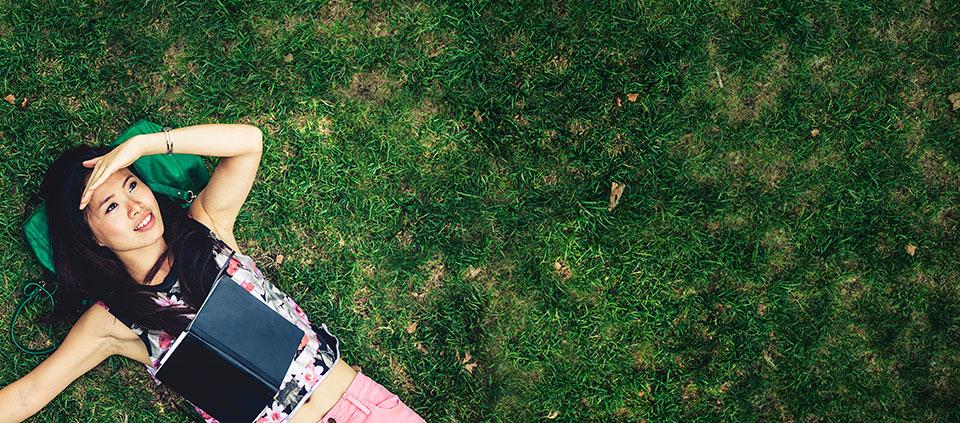Grass XXXLarge Header