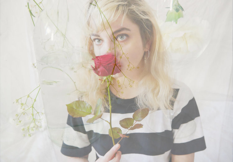 Roses Romance Weather