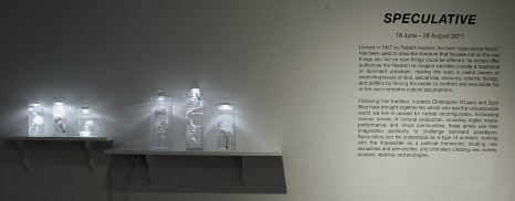 Speculative 1