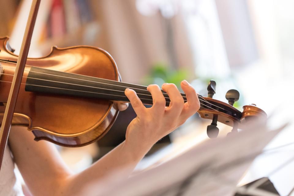 Violin