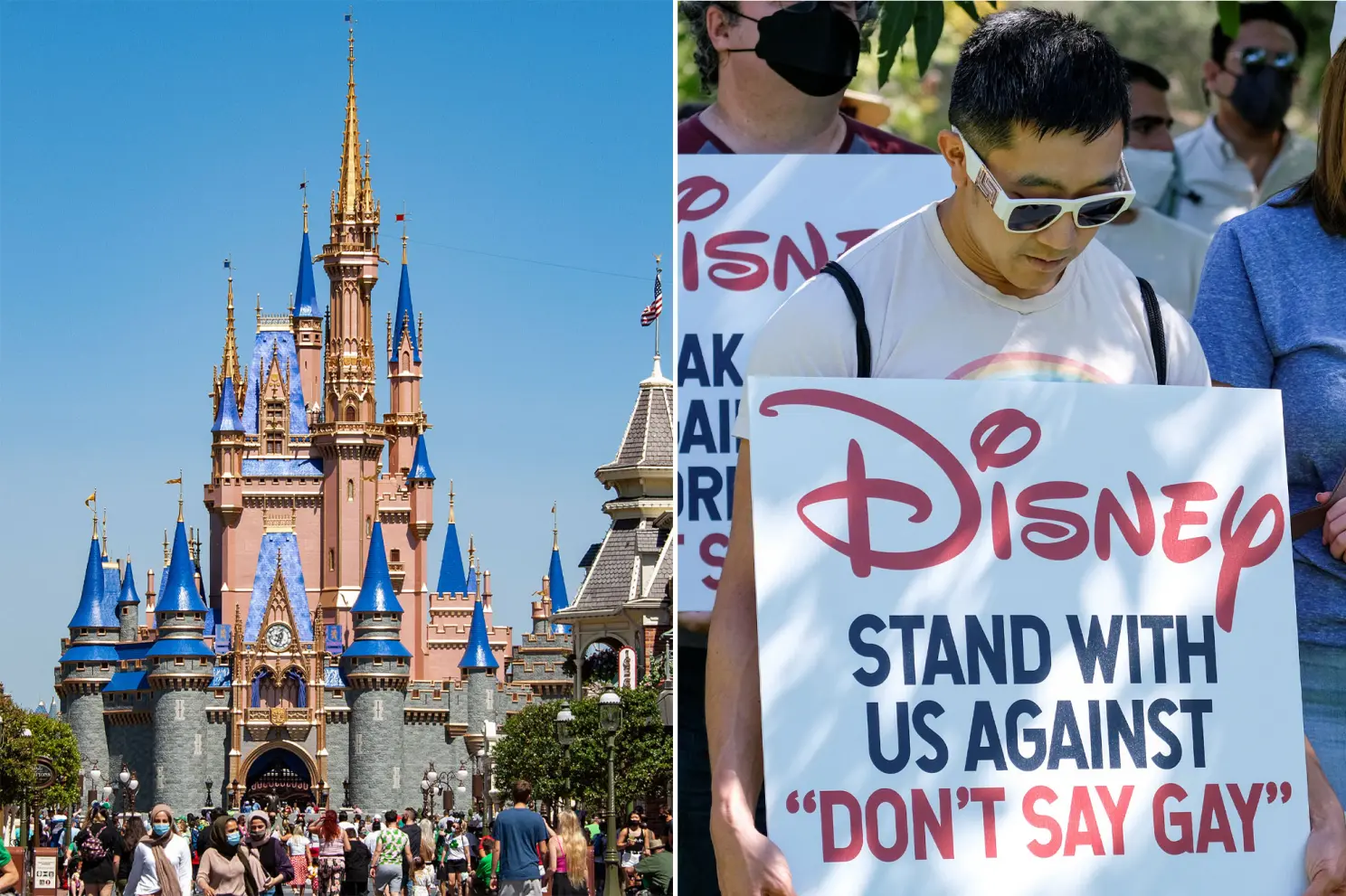 Magic Kindgom Protestors