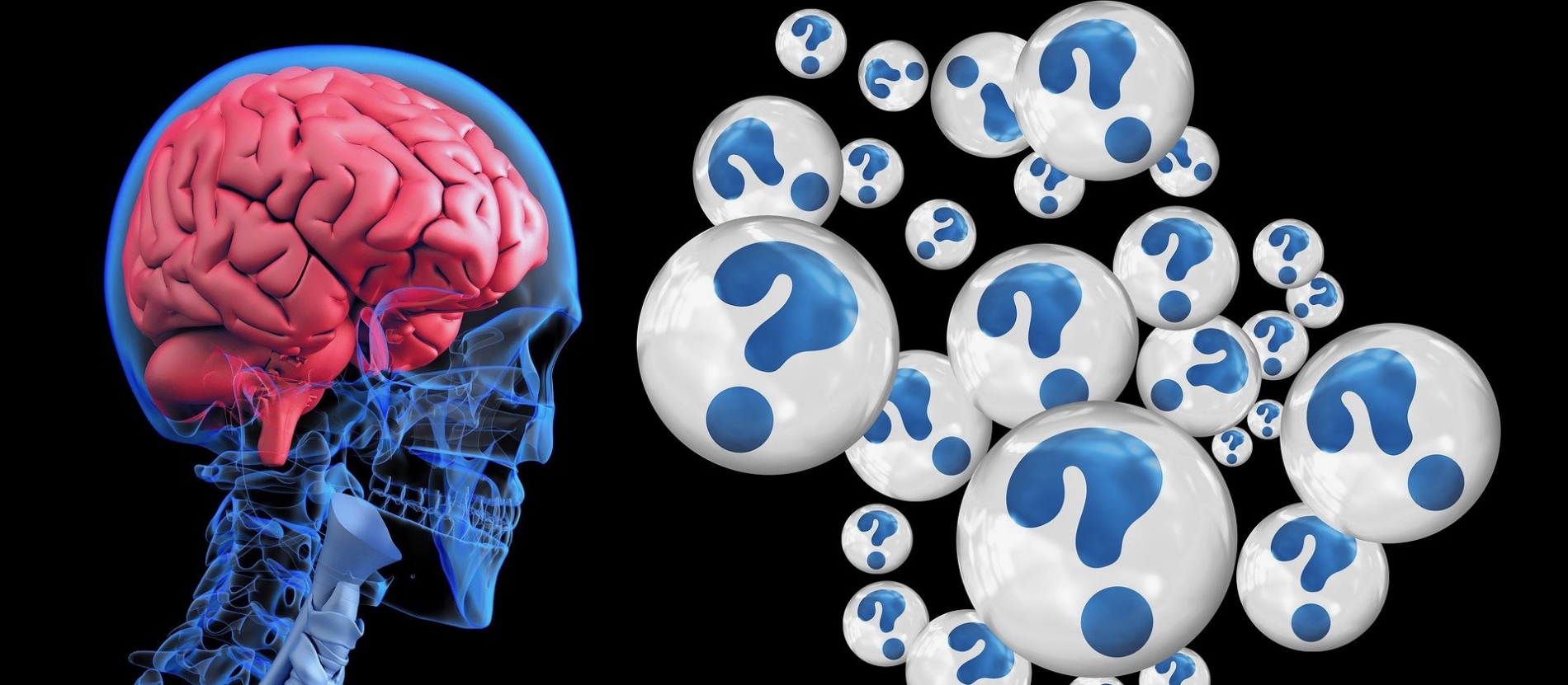 Brain 2546101 1920 1