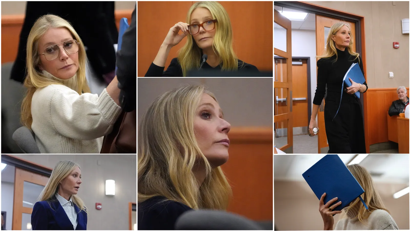 Fry Paltrow Trial