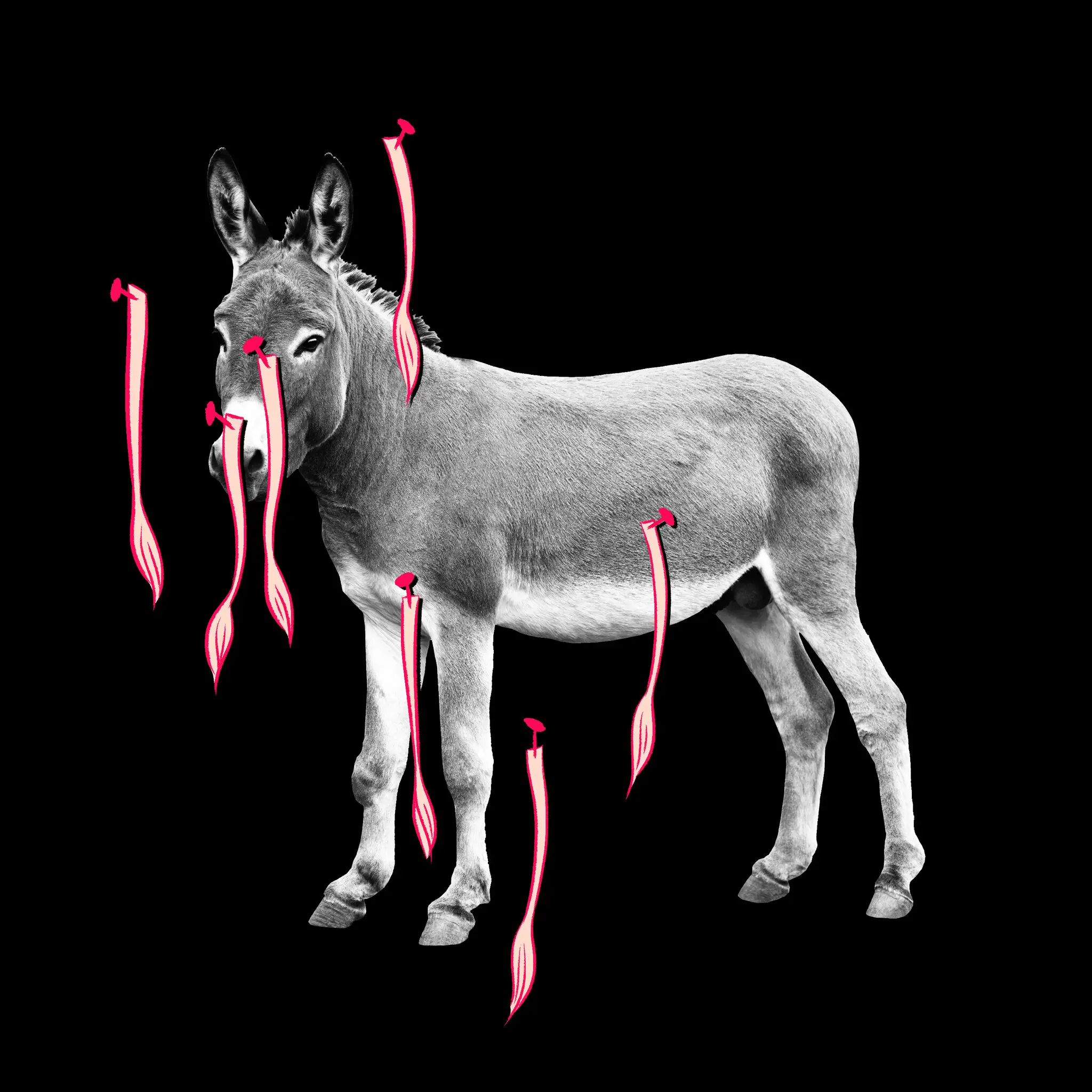 29edit Democrats Image SuperJumbo V2
