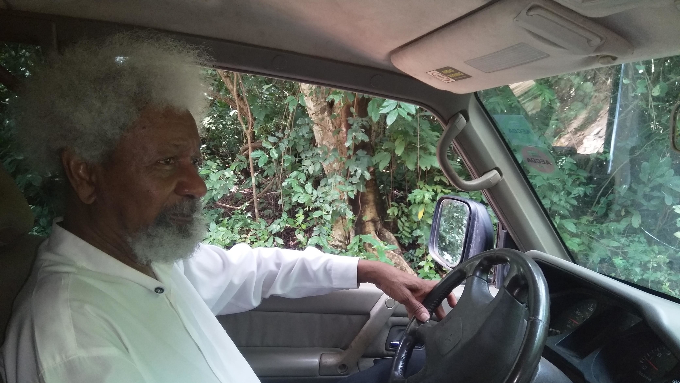 Soylinka Hero Soyinka
